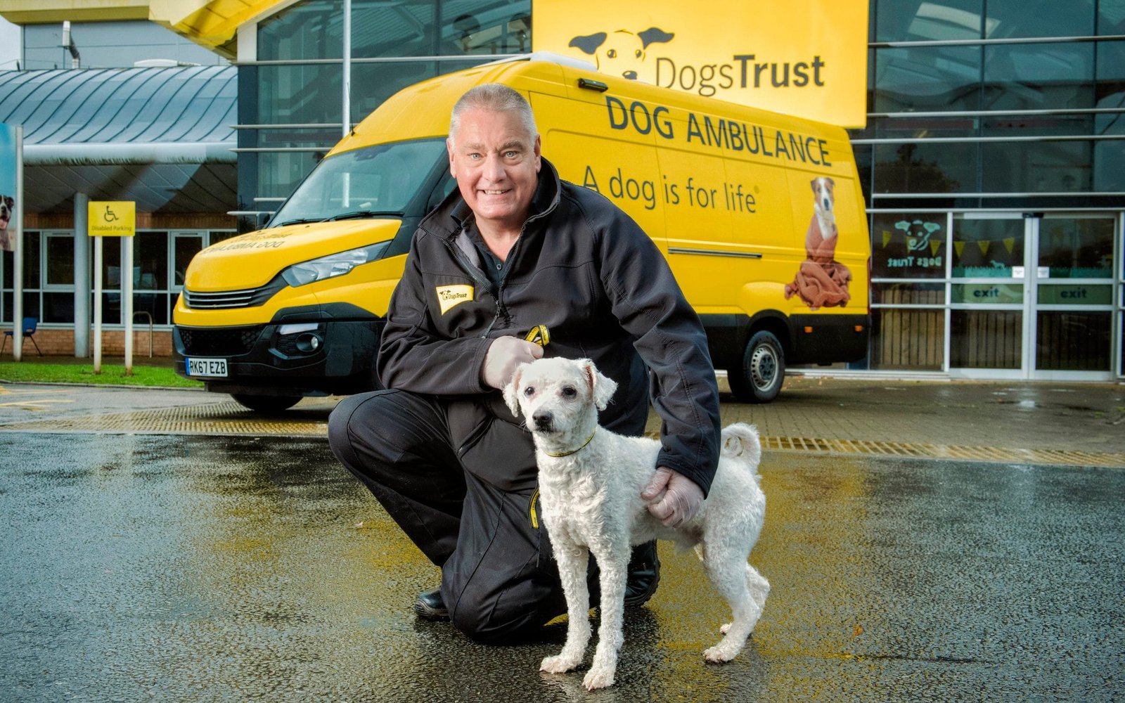 Dog Ambulance